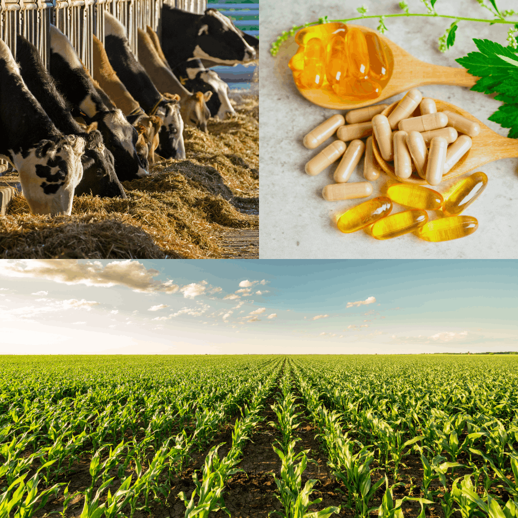Animal nutrition, Human nutrition, and Crop nutrients